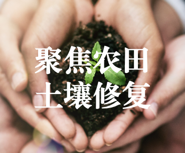 聚焦農田土壤修復，保障糧食產品安全 ——踔厲奮發、篤行不怠，以奮斗之姿獻禮黨的二十大